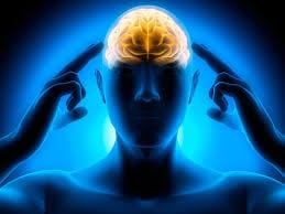 Reduce Stress & Improve Focus