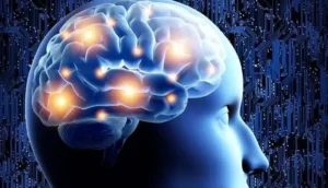 The Science of Meditation: How It Rewires Your Brain for Peace
